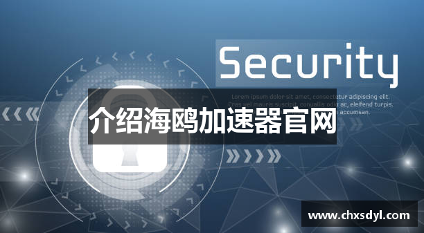 介绍海鸥加速器官网